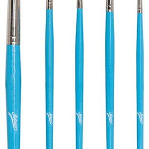 Ateco 5 Piece Artist Brush Set