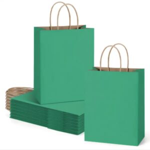 Green/Kraft Paper Gift Bag 1 Count